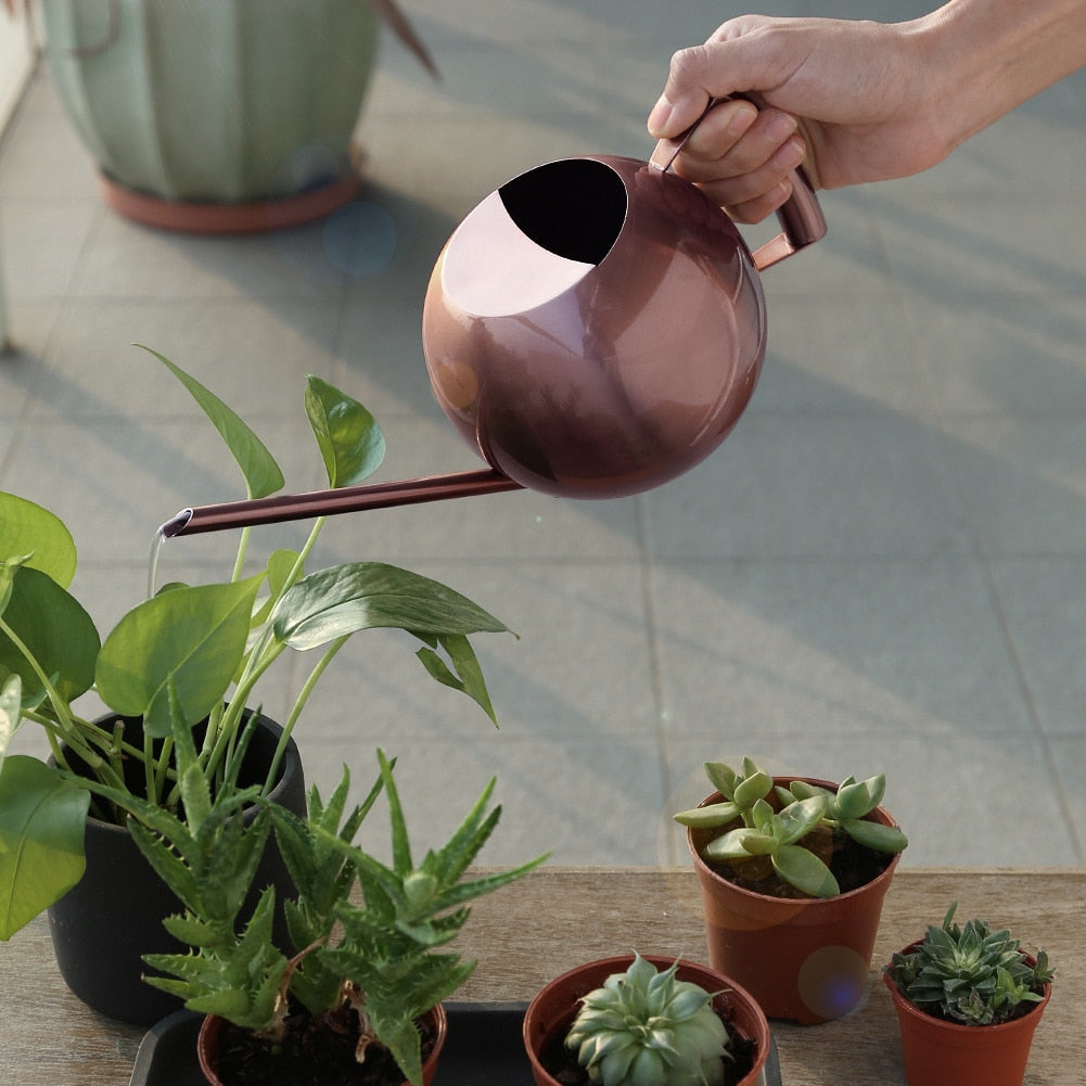 Elegant Watering Can