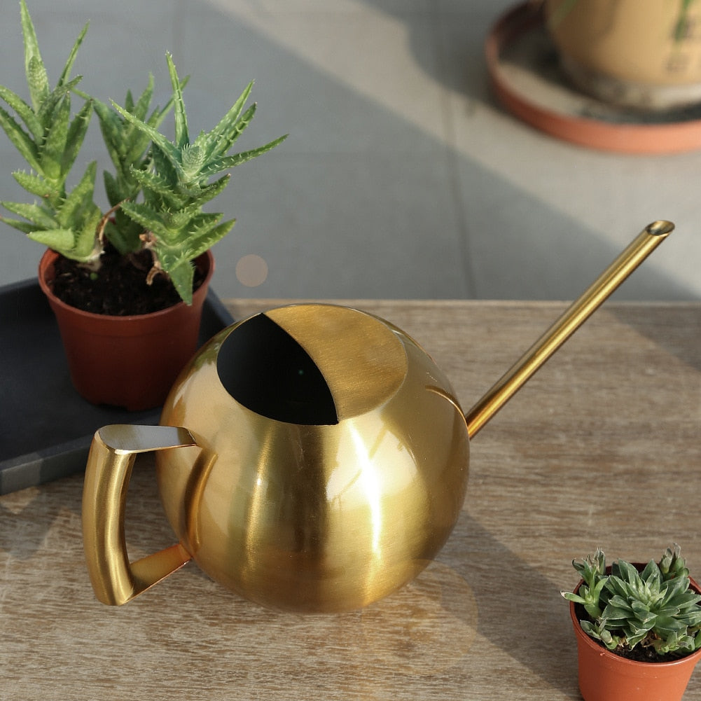 Elegant Watering Can