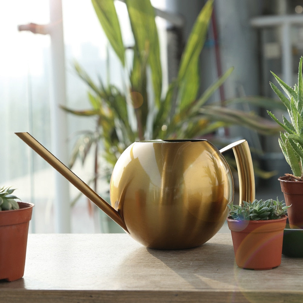 Elegant Watering Can